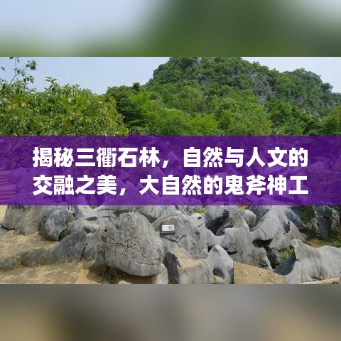 揭秘三衢石林，自然與人文的交融之美，大自然的鬼斧神工欣賞