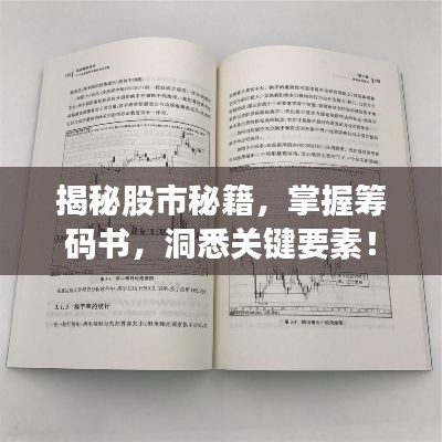 揭秘股市秘籍，掌握籌碼書，洞悉關(guān)鍵要素！