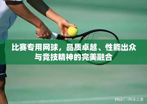 比賽專用網(wǎng)球，品質(zhì)卓越、性能出眾與競技精神的完美融合