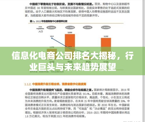 信息化電商公司排名大揭秘，行業(yè)巨頭與未來趨勢展望