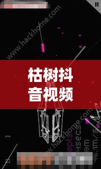 枯樹抖音視頻，探索最新版視頻世界，體驗獨特魅力