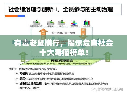 有毒老鼠橫行，揭示危害社會十大毒瘤榜單！
