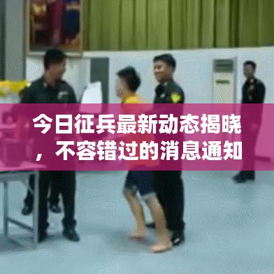 今日征兵最新動態(tài)揭曉，不容錯過的消息通知！