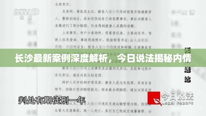 長沙最新案例深度解析，今日說法揭秘內(nèi)情