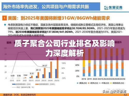 質子聚合公司行業(yè)排名及影響力深度解析