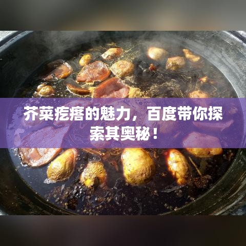 芥菜疙瘩的魅力，百度帶你探索其奧秘！
