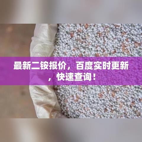 最新二銨報(bào)價(jià)，百度實(shí)時(shí)更新，快速查詢！