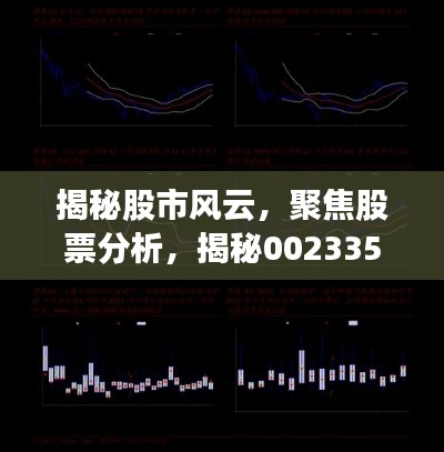 揭秘股市風(fēng)云，聚焦股票分析，揭秘002335股票動(dòng)態(tài)與前景展望