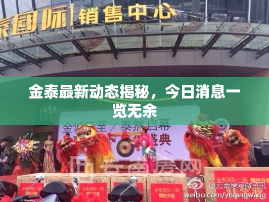 金泰最新動態(tài)揭秘，今日消息一覽無余