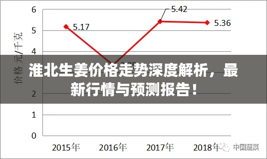 淮北生姜價(jià)格走勢(shì)深度解析，最新行情與預(yù)測(cè)報(bào)告！