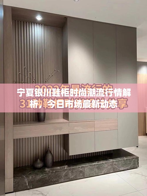 寧夏銀川鞋柜時(shí)尚潮流行情解析，今日市場(chǎng)最新動(dòng)態(tài)