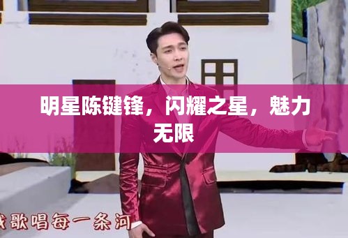 明星陳鍵鋒，閃耀之星，魅力無限