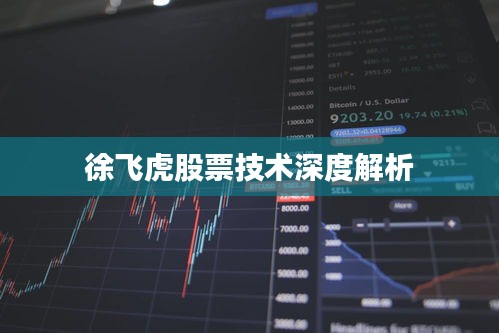 徐飛虎股票技術(shù)深度解析