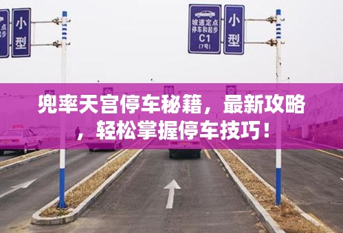 兜率天宮停車秘籍，最新攻略，輕松掌握停車技巧！