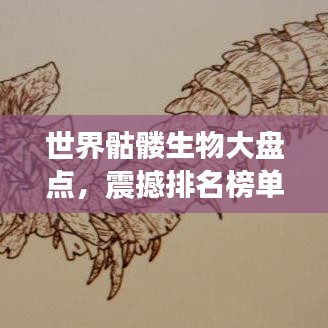 世界骷髏生物大盤(pán)點(diǎn)，震撼排名榜單