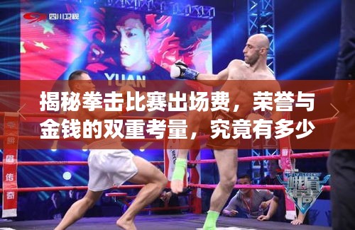 揭秘拳擊比賽出場費，榮譽與金錢的雙重考量，究竟有多少？