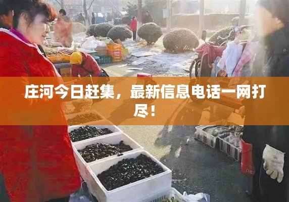 莊河今日趕集，最新信息電話一網(wǎng)打盡！