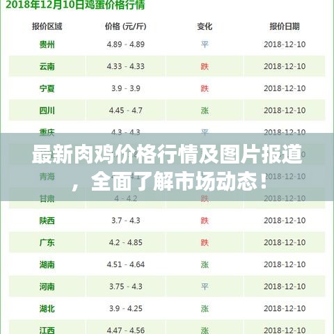 最新肉雞價格行情及圖片報道，全面了解市場動態(tài)！