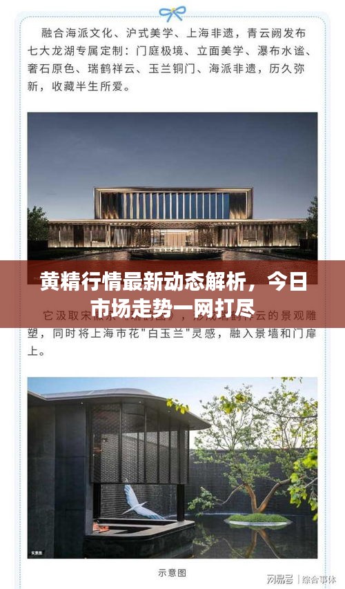 黃精行情最新動態(tài)解析，今日市場走勢一網(wǎng)打盡